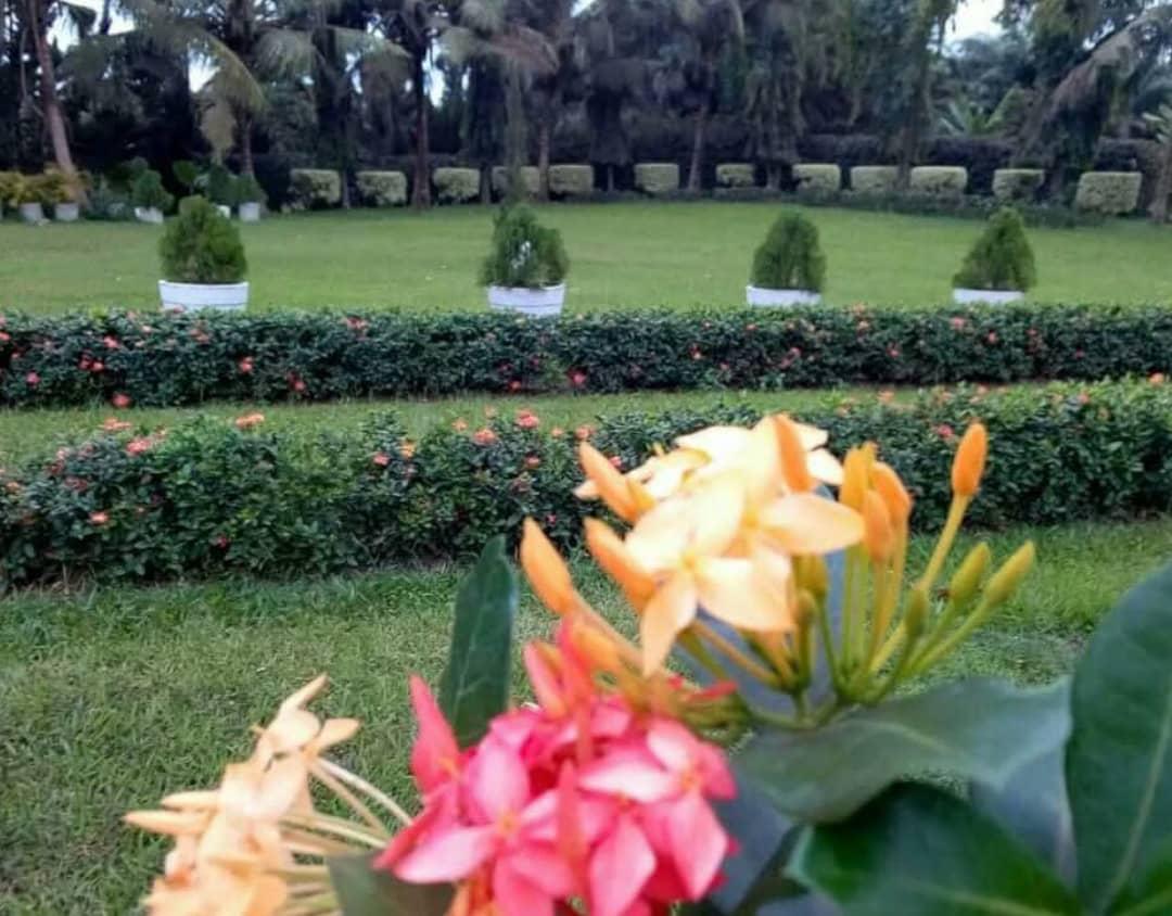 Beautiful flower garden