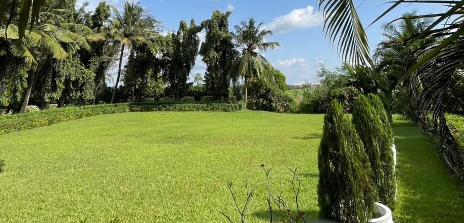 Garden background for NAV logo